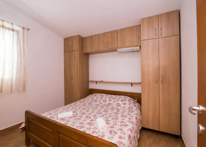 House Marko تكون